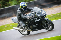 anglesey;brands-hatch;cadwell-park;croft;donington-park;enduro-digital-images;event-digital-images;eventdigitalimages;mallory;no-limits;oulton-park;peter-wileman-photography;racing-digital-images;silverstone;snetterton;trackday-digital-images;trackday-photos;vmcc-banbury-run;welsh-2-day-enduro